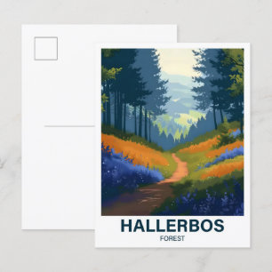 Hallerbos Forest Halle Brabant  Flandria Belgia Postcard