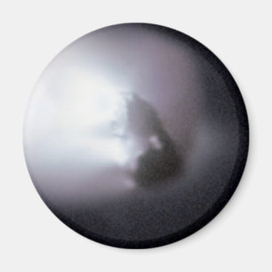 Halley's Comet (1P/Halley) Magnet