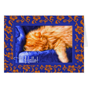 Hallo! German Language Orange Tabby Cat Blue
