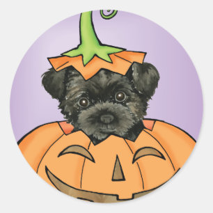 Halloween Affenpinscher Classic Round Sticker