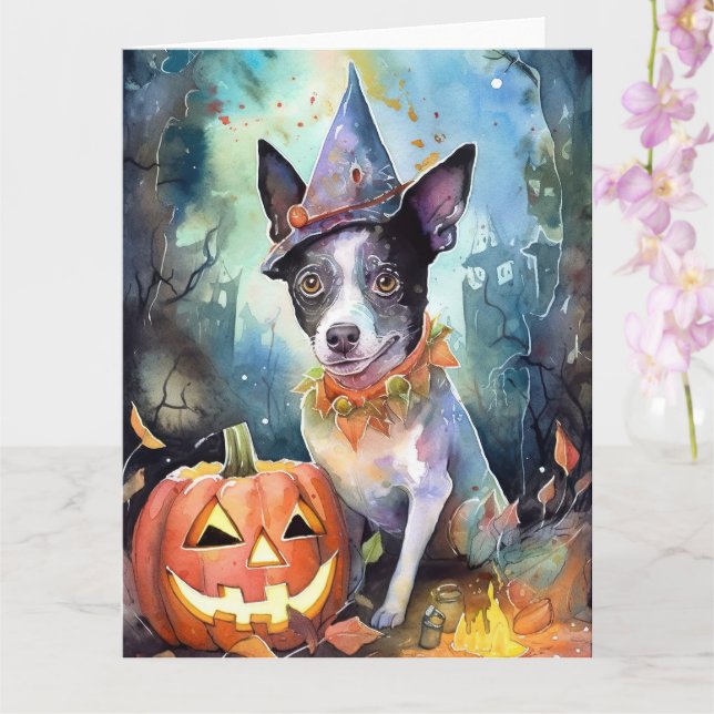 Halloween Australian Cattle With Pumpkins Scary Card (Orchid)