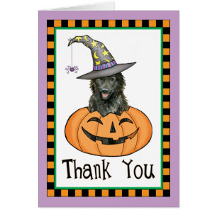 Halloween Belgian Sheepdog