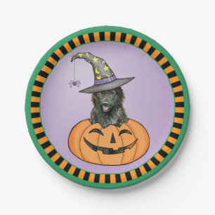 Halloween Belgian Sheepdog Paper Plate