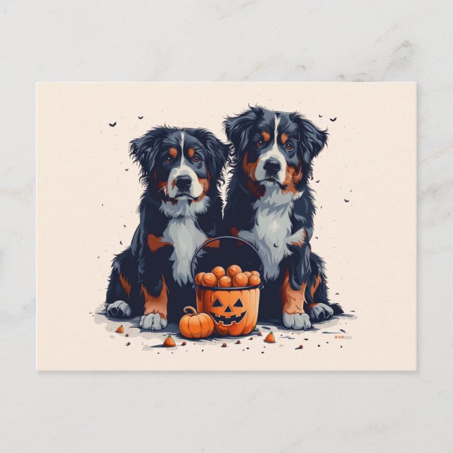 Halloween Bernese Mountain Dogs Pumpkin Postcard (Front)