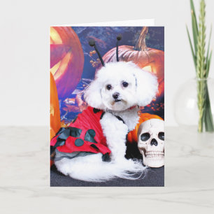 Halloween - Bichon Frise - Mia Card