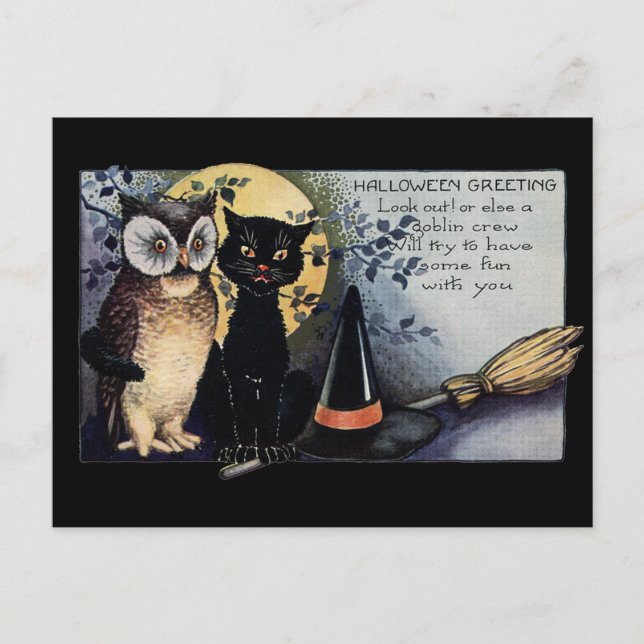 Halloween Black Cat and Owl Postcard (Front)