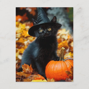 Halloween Black Cat and Pumpkin Enclosure Card