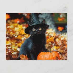Halloween Black Cat and Pumpkin Holiday Postcard
