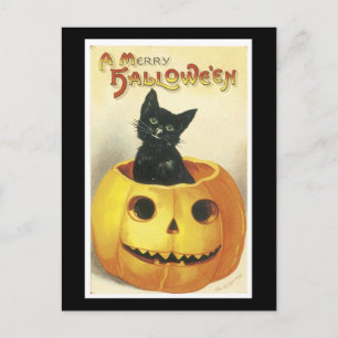 Halloween Black Cat and Pumpkin Postcard