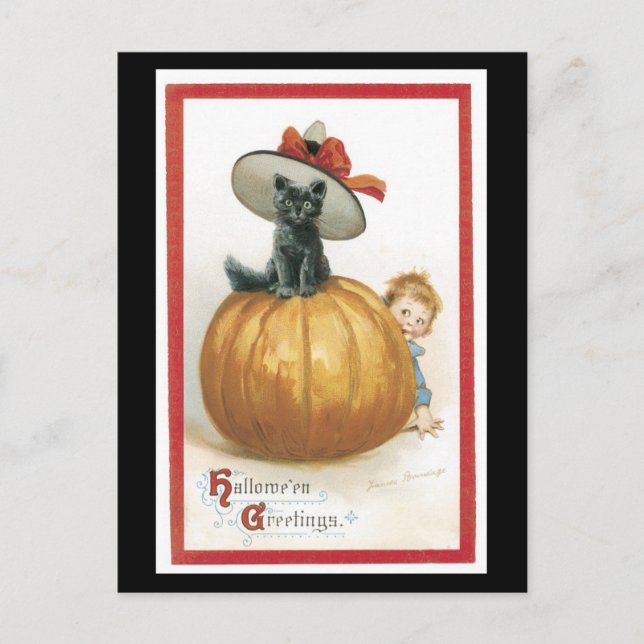 Halloween Black Cat and Pumpkin Postcard (Front)