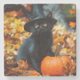 Halloween Black Cat and Pumpkin Stone Coaster