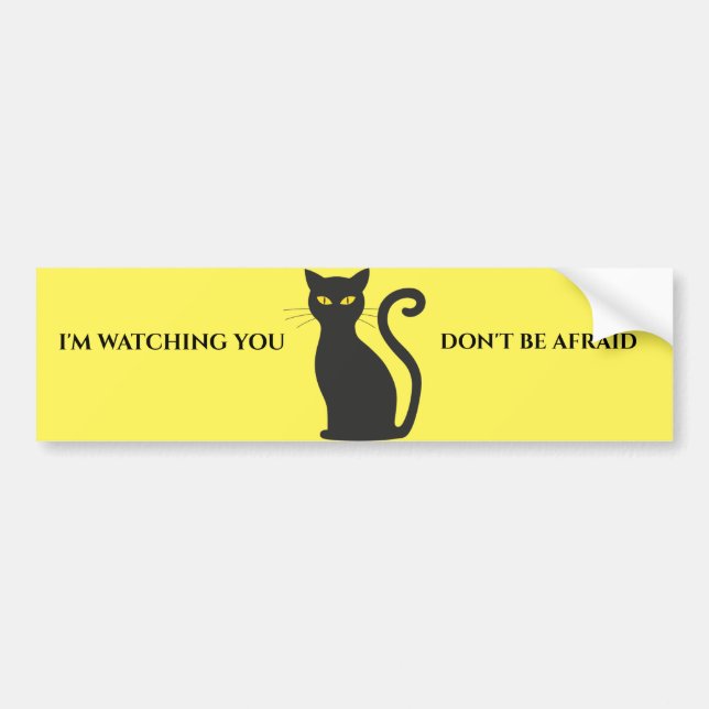 Halloween black cat fun bumper sticker. bumper sticker (Front)