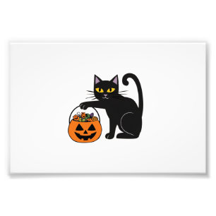 Halloween Black Cat Jack O' Lantern Pumpkin Sweet Photo Print