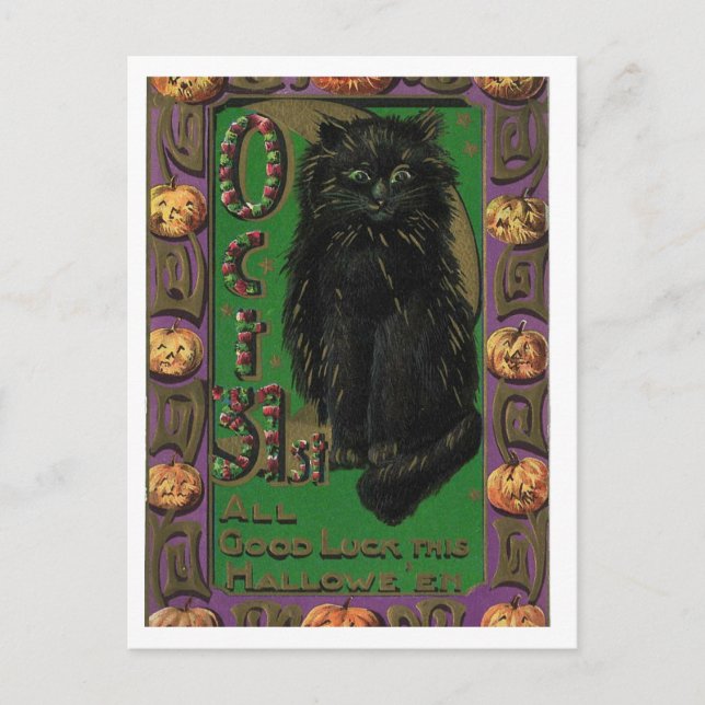 Halloween Black Cat Mice Mouse Postcard (Front)