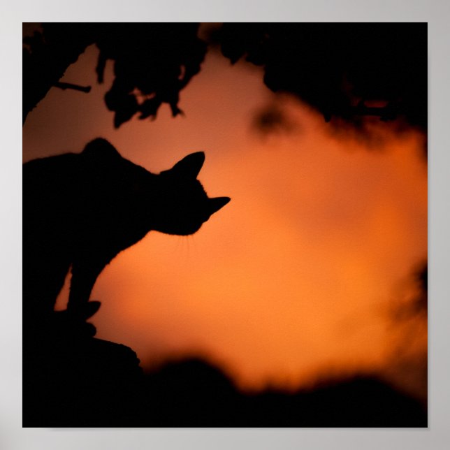 Halloween Black Cat Orange Background Customise Poster (Front)