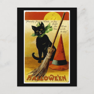 Halloween Black Cat Postcard