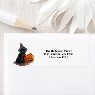 Halloween black cat return address label