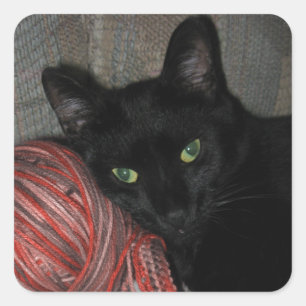 Halloween Black Cat Square Sticker