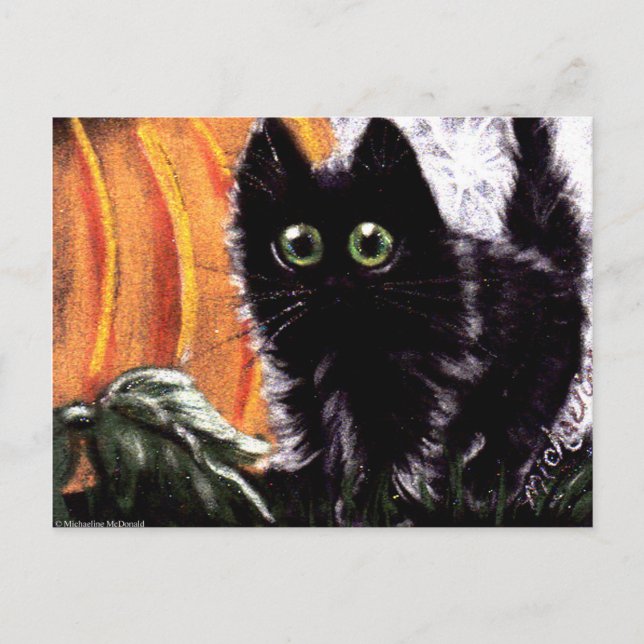 Halloween Black Cat Who Dat Scaredy Cat Postcard (Front)