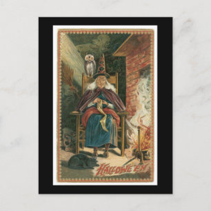 Halloween Black Cat, Witch and Owl Postcard