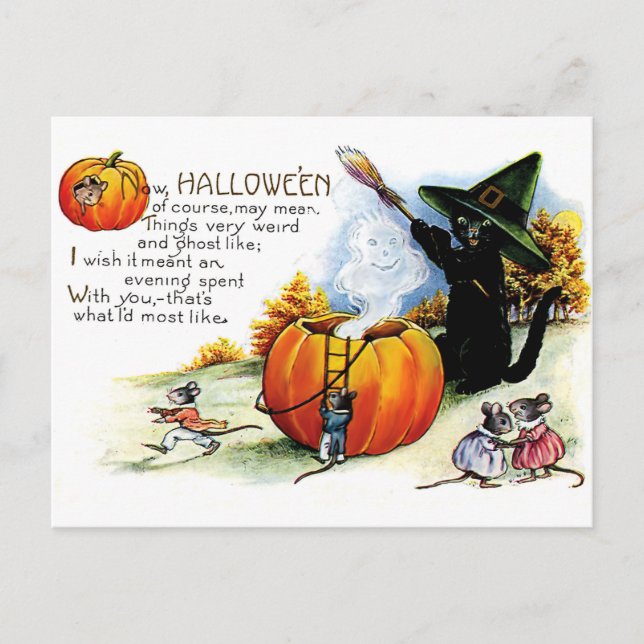 Halloween black cat witchcraft postcard (Front)