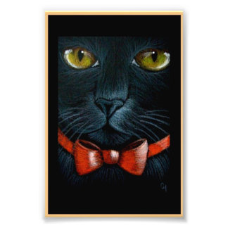 HALLOWEEN BLACK CAT with ORANGE BOW PRINT