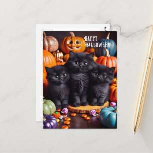Halloween Black Cats with Pumpkins and Candy Postcard