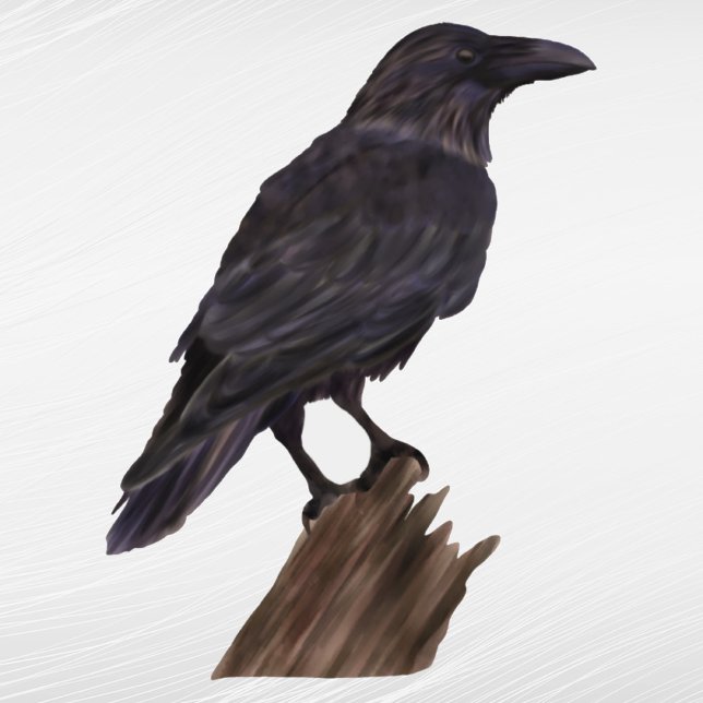 Halloween Black Crow Watercolor (Creator Uploaded)