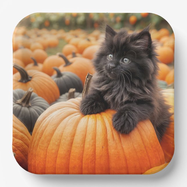 Halloween Black Kitten On a Pumpkin Paper Plate (Front)