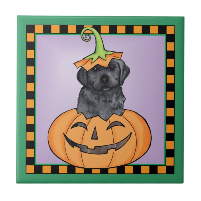 Halloween Black Lab Ceramic Tile (Front)