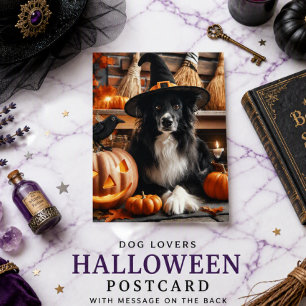  Halloween Black Witch Dog Lovers  Holiday Postcard