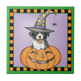 Halloween Border Collie Ceramic Tile
