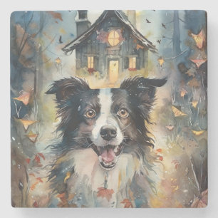 Halloween Border Collie With Pumpkins Scary Stone Coaster