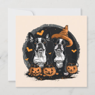 Halloween Boston Terrier Dogs Invitation