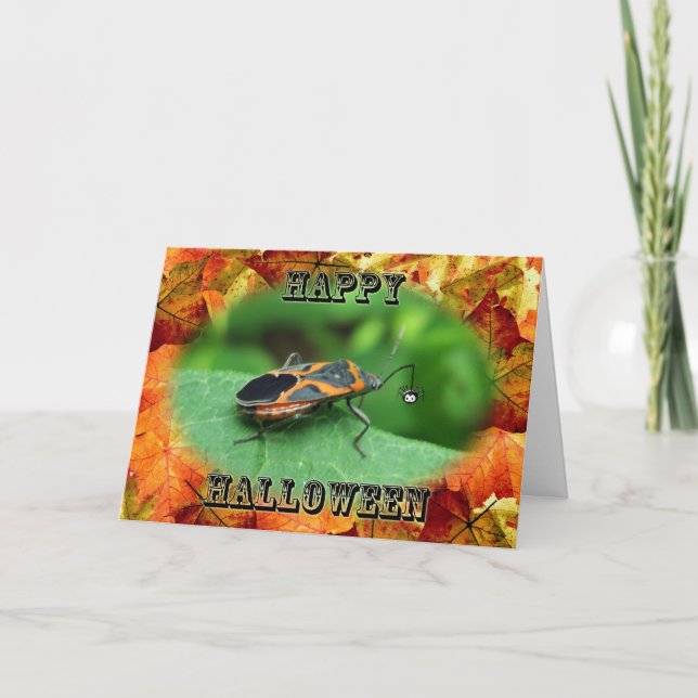 Halloween Box Elder Bug Card (Front)