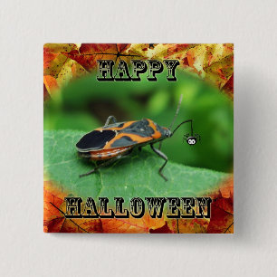 Halloween Box Elder Bug Coordinating Items 15 Cm Square Badge