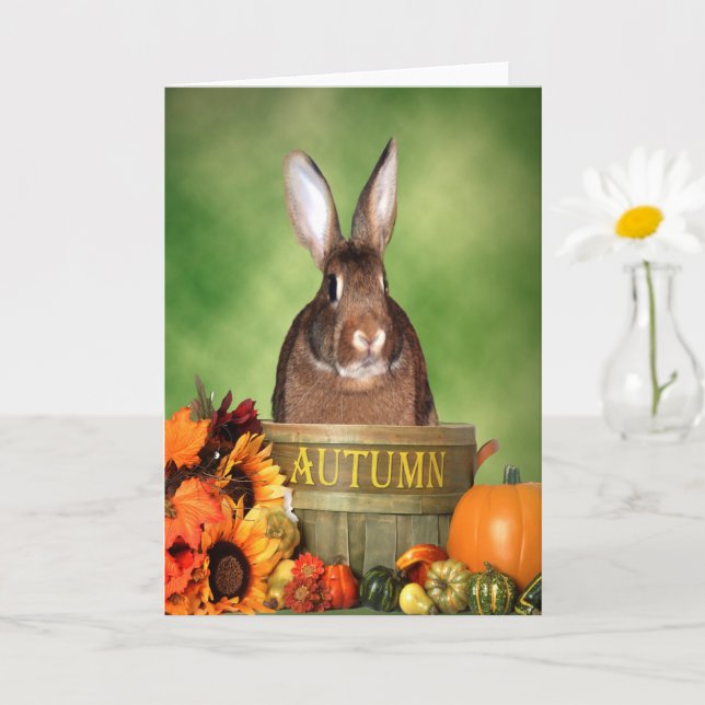 Halloween Bunny Sitting in an Autumn Wooden Basket Card (Small Plant)