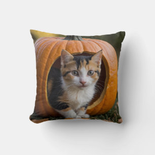 Halloween Calico Kitten Sitting in a Pumpkin  Cushion