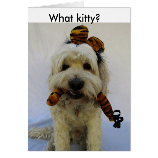 halloween card, humour, dog eats cat, guilty dog, card