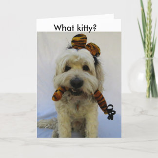 halloween card, humour, dog eats cat, guilty dog, holiday card