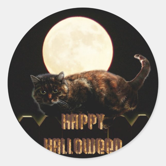 Halloween Cat & a Full Moon Classic Round Sticker (Front)