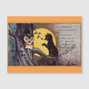 Halloween Cat And Owl
