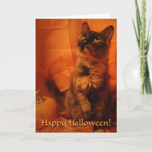 Halloween Cat Card