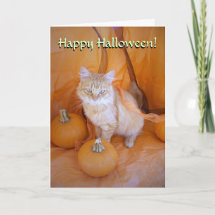 Halloween Cat Card
