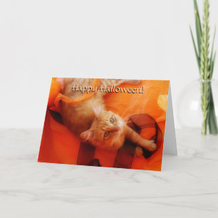 Halloween Cat Card