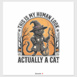 Halloween Cat Costume Funny Vintage Witch Cat Shir
