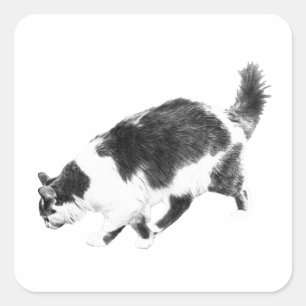 Halloween Cat in Black Lines Square Sticker