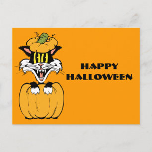 Halloween Cat Postcard