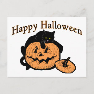 Halloween Cat Postcard