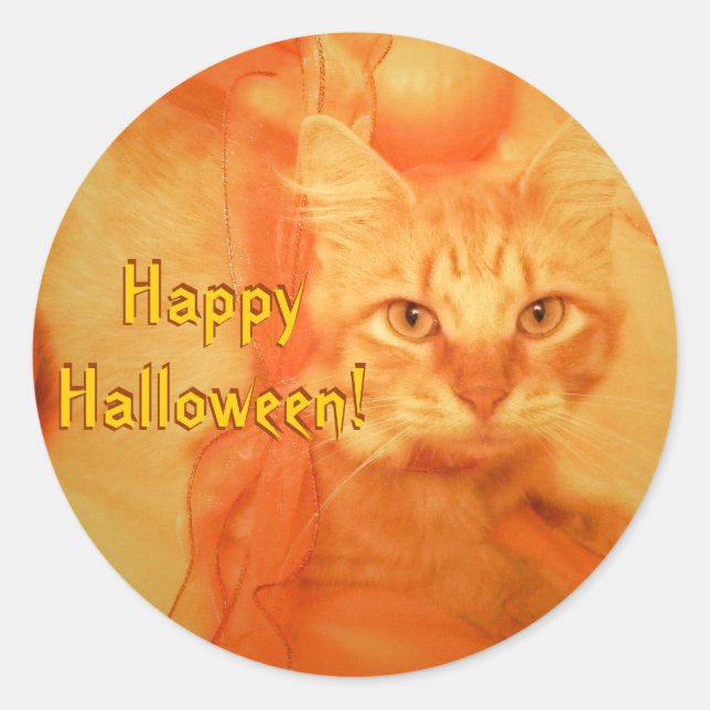 Halloween Cat Stickers (Front)